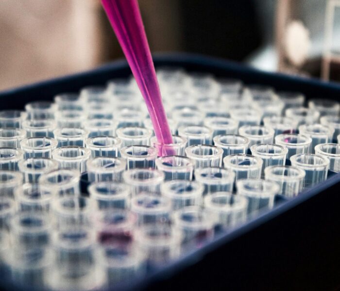 louis-reed-pwcKF7L4-no-unsplash